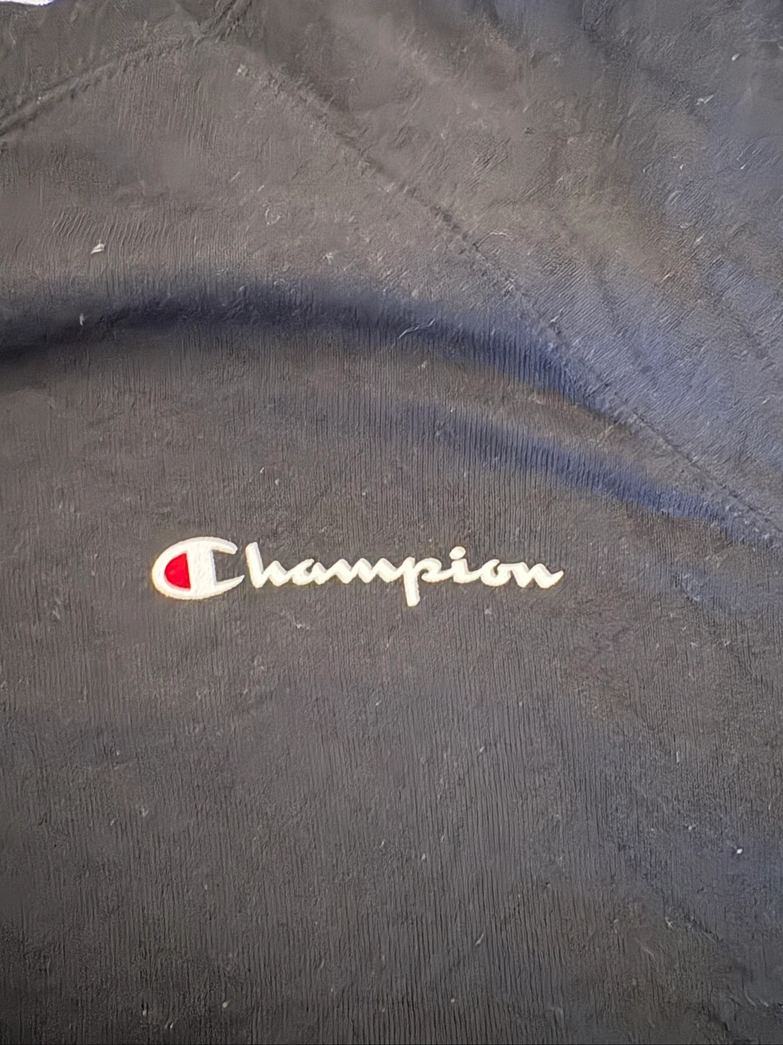 Champion sweater 